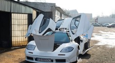 Poliak si zo šrotu postavil McLaren F1