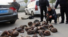 To, čo policajti našli v aute Číňana by ani vo sne nečakali