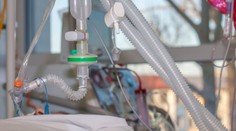 Prípadov prenosu vtáčej chrípky na ľudí pribúda. Tínedžerka skončila na prístrojoch