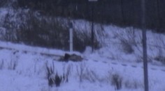 Iba o vlások unikol smrti, 84-ročný muž ležal bosý a v teplákoch na železničnej trati