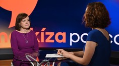 Slovákov trápi korupcia menej ako v minulosti. Z prieskumov vyplýva, že za dôležitejšie považujú iné témy (Cirkus Politikus)