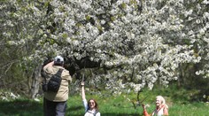 Veľká zmena počasia. Víkend bude slnečný, teploty vystrelia nahor