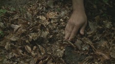 Huby nerastú. Sčasti za to môže aj počasie