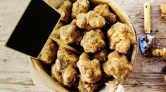 Kuracie medailónky v citrónovej marináde s cestovinovým šalátom