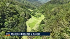 Mestské kosenie v doline