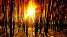 Vieme, dokedy bude príjemné “jarné“ počasie