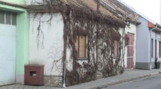 Hrôzostrašný dom v Břeclavi ukrýval tri detské telíčka