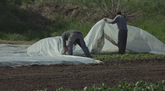 Príbeh o sile prírody, ale aj človeka. Dojemné odhodlanie roľníka, ktorého veľká voda pripravila o živobytie