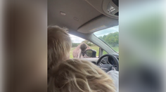 VIDEO: Bývalého britského premiéra Borisa Johnsona napadol pštros. Jeho reakcia baví sociálne siete