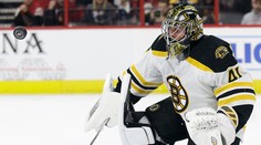 Pánik prispel gólom k výhre Arizony, Halák exceloval v bránke Bostonu