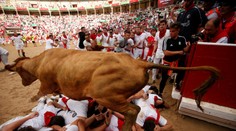 Krvavá zábava v uliciach Pamplony. Pri niektorých fotkách sa vám zastaví rozum