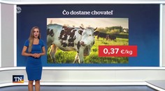 Topíme sa v mlieku