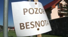 Besnota uväznila zvieratá na východe Slovenska. Psy a mačky z deviatich okresov nesmú prekročiť ich hranice