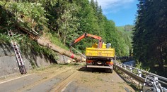 Obrovská tragédia v Česku. Na idúce auto spadol strom, na mieste zomreli traja ľudia