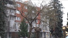 V Púchove musia zlikvidovať desiatky stromov, medzi nimi aj veľké a zdravé. Miestni aktivisti sa búria