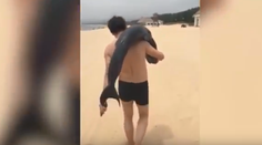 VIDEO: Turista si z pláže odniesol mŕtveho delfína. Rybu naložil do auta a odišiel