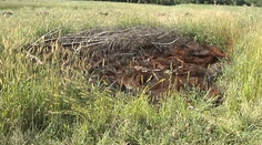 Mladíkovi hrozí za vatru väzenie. Nelegálne pálil pneumatiky