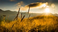 Počasie budú komplikovať hmly. Pozrite si, ako môžu klesnúť teploty