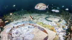 V mori pri Neapole objavili poklad. Na dne sa schovávala mozaika zo starovekého Ríma