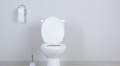 Samce rýb sa menia na samičky. Pre tieto veci, ktoré končia vo vašej toalete