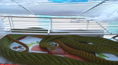 Žena, ktorú uhryzla jedovatá mamba, zostáva v kóme. Prognózy nie sú dobré