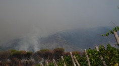 Plamene pri Vezuve, tisíce evakuovaných v Španielsku: Európa horí ako nikdy predtým