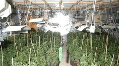 Ako rýchlo si Slovák zoženie kokaín či marihuanu? Ukázal prieskum