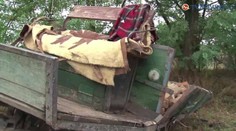 Pri Kopčanoch sa zrazil kôň s autom. Dopadlo to tragicky