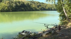 Na Ružíne rutinne odobrali vzorky rýb. Čo v nich našli, nečakali