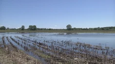 Farmári na Zemplíne nemôžu na polia. Ak chcú na pôdu dotáciu, zasiať musia čo najskôr