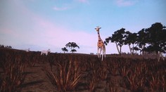 Na východe Slovenska môžete obdivovať exotické vtáctvo. Pomôže vám v tom virtuálna realita