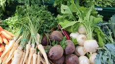 Odborníci odporúčajú seniorom túto nenápadnú zeleninu. Pomáha s tlakom, trávením aj proti únave