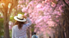 Po chladnom víkende príde teplotný šok. Veľká noc prinesie počasie ako v lete (+ predpoveď)