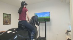 Jazda na koni bez rizika pádu. Na univerzite v Nitre majú unikátny jazdecký trenažér