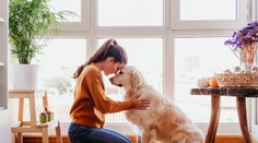 Hrozí vášmu psíkovi niektorá z týchto diagnóz? Spoznajte najčastejšie psie choroby