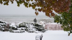 Obrovská tragédia: Rodina si myslela, že spí, no 86-ročnú ženu našli zamrznutú len pár metrov od domu