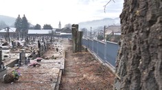 Staré lipy na cintoríne vo Veľkom Rovnom spílili. Občania podali trestné oznámenie