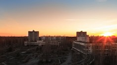 V ochrannej zóne okolo Černobyľa sa darí cicavcom, tvrdí štúdia