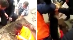 Pes bol štyri dni uväznený v kanáli. Len zázrakom prežil