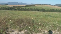 Ropu a ani zemný plyn na severovýchode Slovenska ťažiť nebudú. Ťažiari po odpore úplne skončili