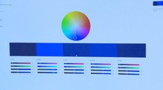 Je optimistická a má upokojovať dušu. Odborníci vybrali farbu roka 2020