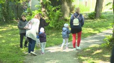 V Leviciach po sto rokoch obnovili promenádu. V centre mesta nájdu pokoj medzi stromami
