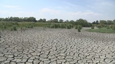 Pre sucho miznú aj vzácne druhy vtákov. Na východe Slovenska vyschol dokonca močiar