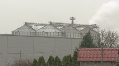 Vo väčšine Slovenska sneží sneh, v Čeľadiciach kukuričné plevy. Obyvateľom sýpka ničí život