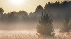Slnko sa pred nami ukryje aj zajtra. Čaká nás hmlisté počasie