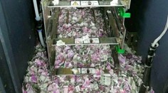 Keď otvorili bankomat, neverili vlastným očiam. Potkany zožrali tisícky rupií