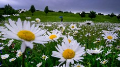 Aká bude tohtoročná jar? Americkí meteorológovia zverejnili prvú prognózu