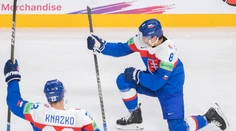 Čakanie sa oplatilo. Slovensko môže získať tesne pred MS tri obrovské posily zo zámoria