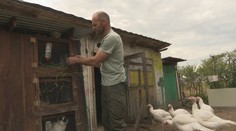 Rodina Felixovcov žije na farme obklopená prírodou. Odvahu im dodala dcéra so zdravotným postihnutím