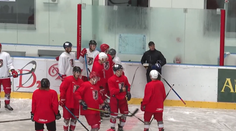 Všetci akcionári sú Prešovčania. V kádri Šarišanov je aj bývalý šampión extraligy